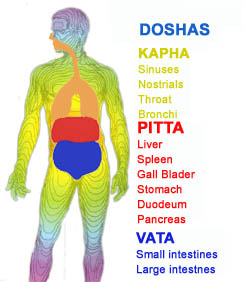 Three Doshas